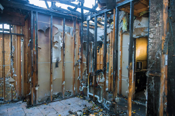 Professional Fire Damage Assessment technician working in Pioneer Village, KY
